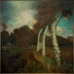Birches in Autumn